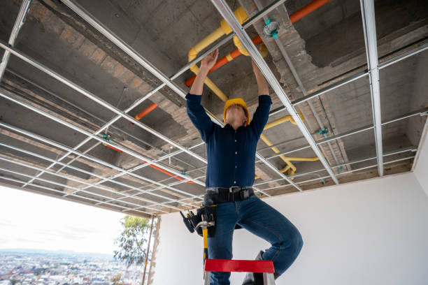 Best Plumbing Inspection Services  in New Union, TN